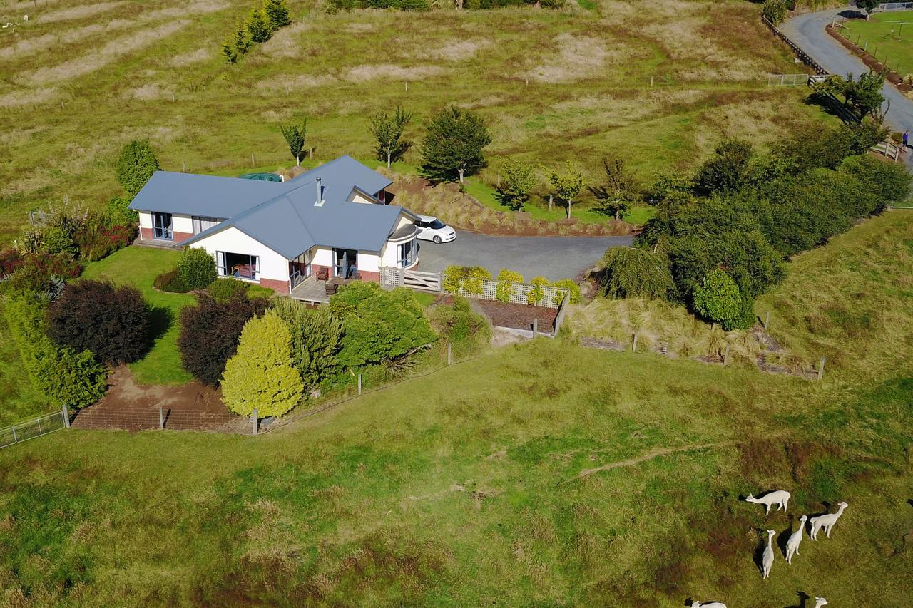 Alpaca Farmstay Dunedin Kültér fotó