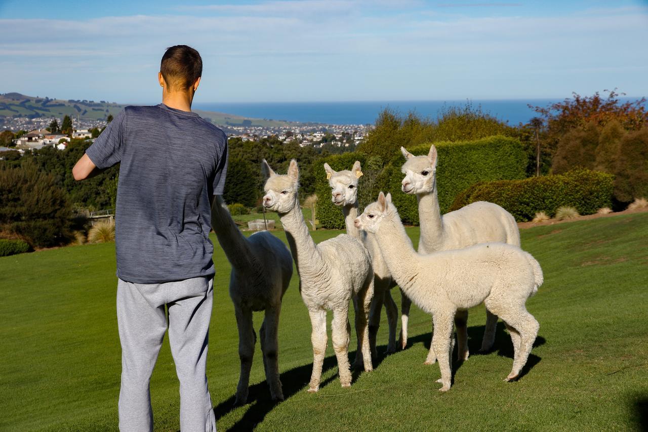 Alpaca Farmstay Dunedin Kültér fotó